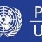 PNUD